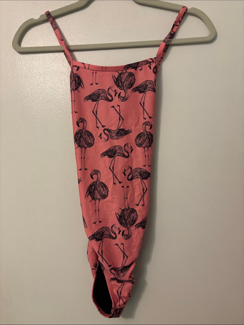 Jolyn Clothing Brandon Pink Flamingo One-Piece Swimsuit